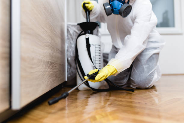 Best Termite Control Services  in East San Gabriel, CA