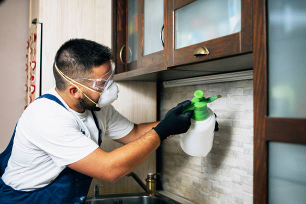 Best Rat Extermination Near Me  in East San Gabriel, CA