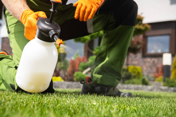 Best Best Pest Control Companies  in East San Gabriel, CA
