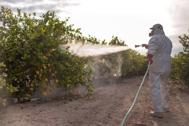 Best Exterminator Services  in East San Gabriel, CA