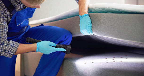 Best Pest Removal Services  in East San Gabriel, CA
