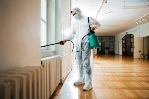 Insect Control in East San Gabriel, CA